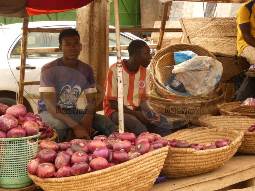 Onion_Vendor
