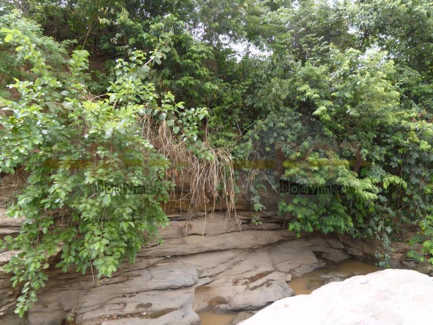 P1000417