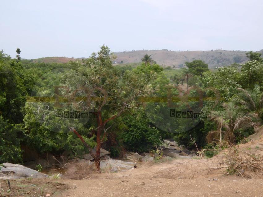 P1000426