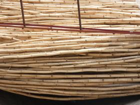 Bamboos