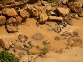 Brown_stream