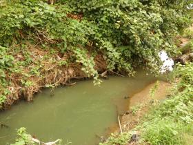 Colored Water