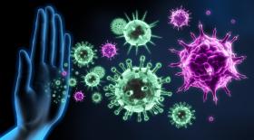 immune system defense