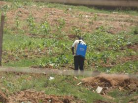 Local_farmer