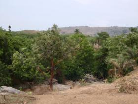 P1000426
