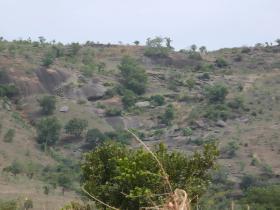 P1000427