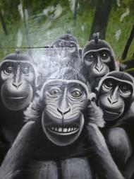 P1000716
