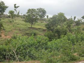 P1010538
