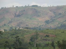 P1010547