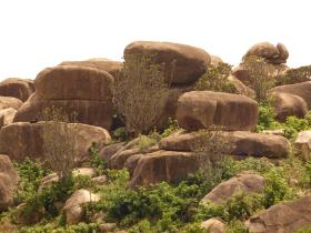 Rocky_land