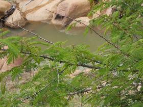 Rocky_river