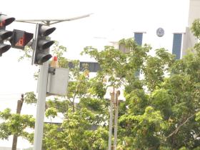 Traffic_light