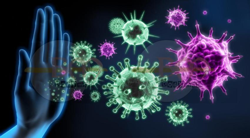 immune system defense