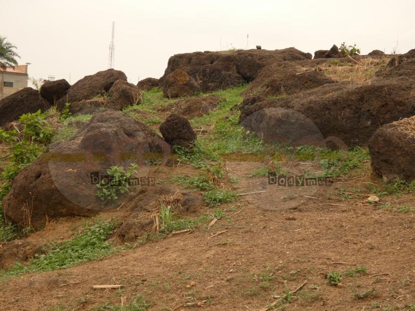Rocky Landscape