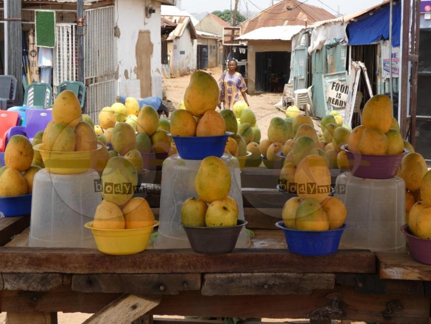 Fruit