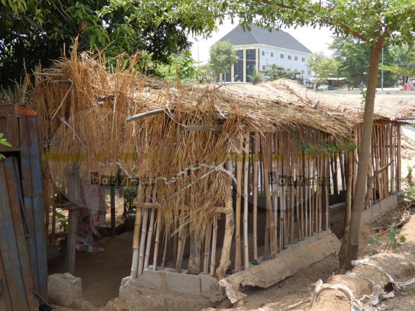 Bamboo_house
