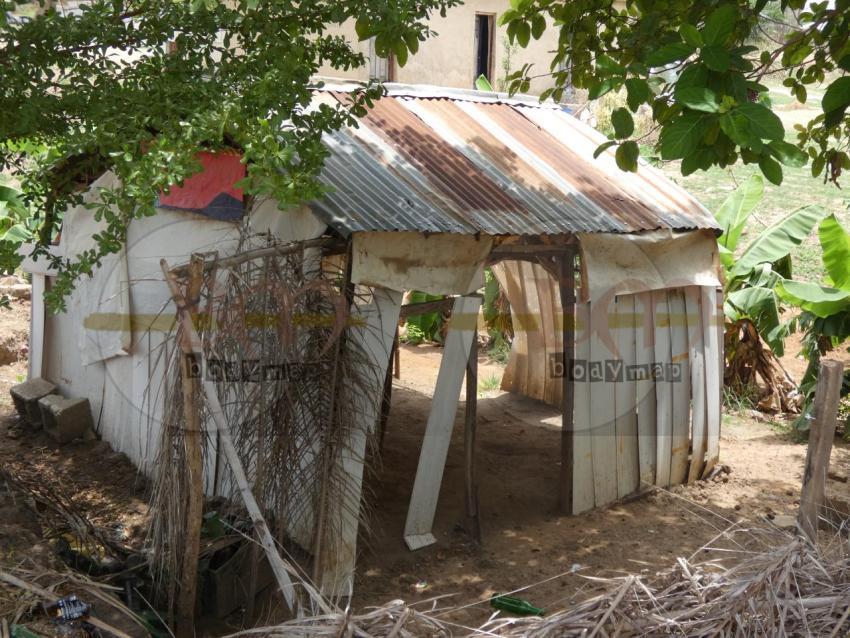 Local_house