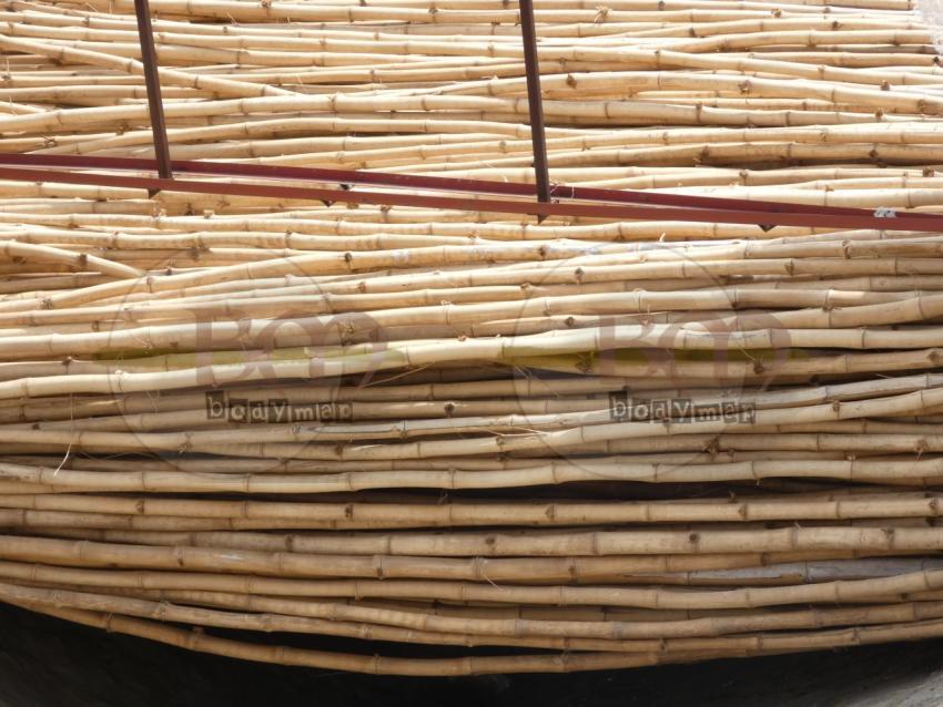 Bamboos