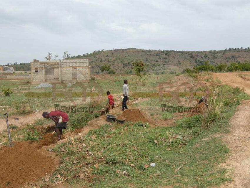 Kids_working